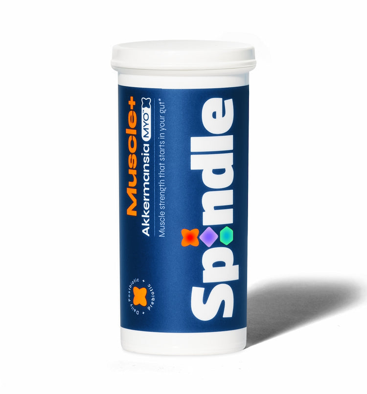 Spindle Muscle+