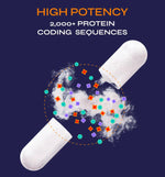 Two white capsules with colorful geometric shapes and text about high potency and protein coding sequences on a dark blue background.