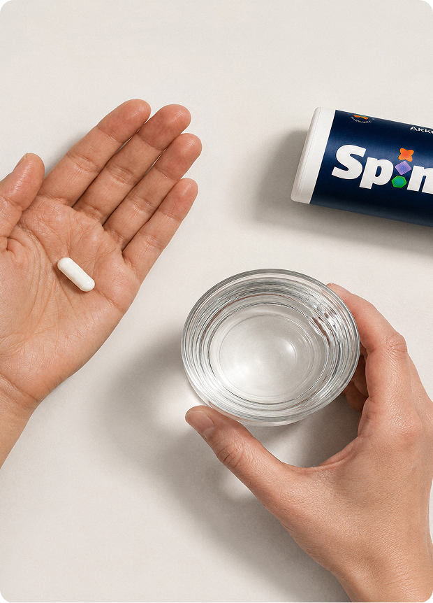 Spindle Muscle+