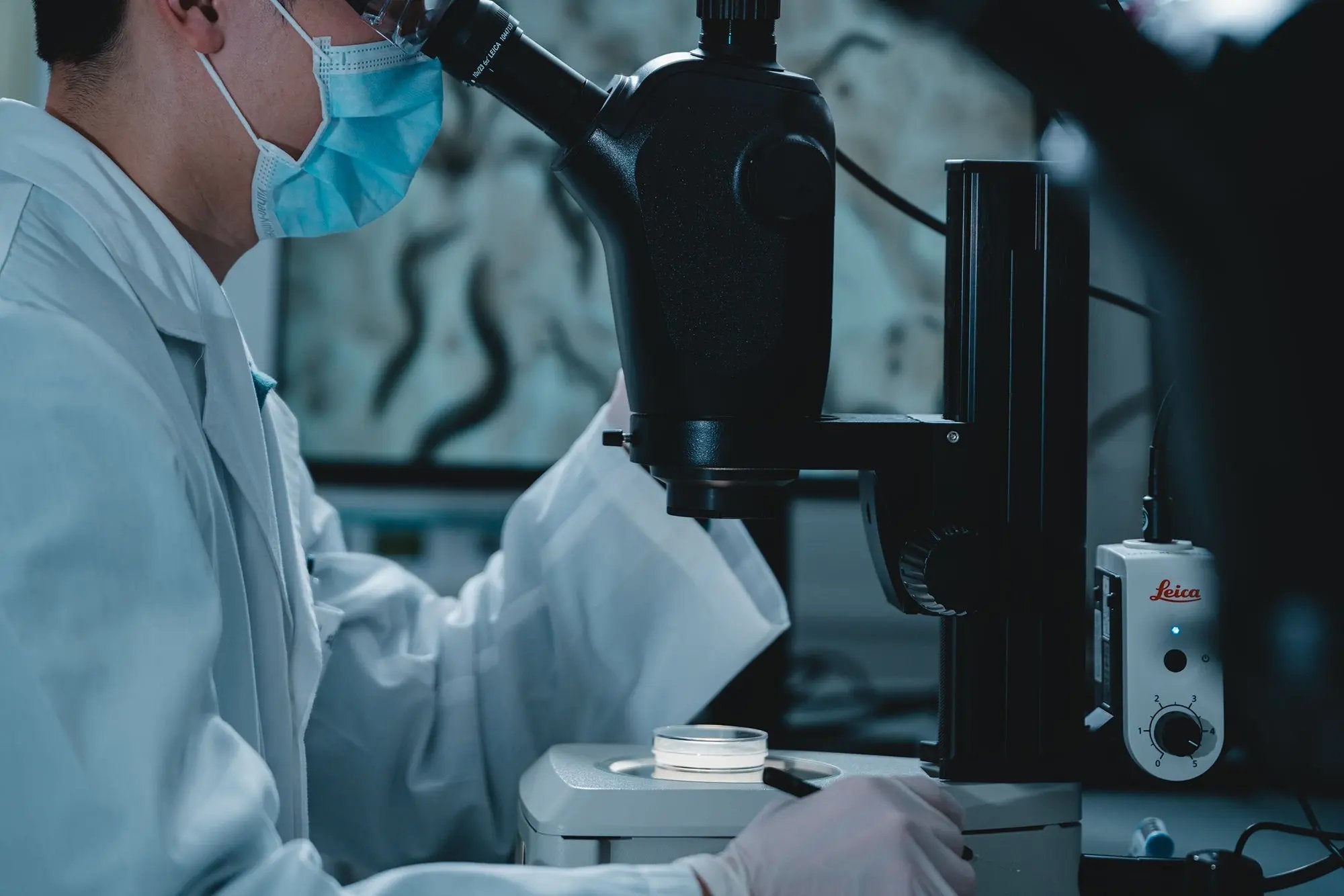 A person in a white lab coat and blue surgical mask looks through a microscope in a laboratory setting. A Leica microscope stand and motorized stage are visible on the right.